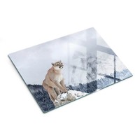 Schneidebrett Aus Glas KüChe GehäRtetes Glas Arbeitsplattenschutz Puma 40X30 Cm