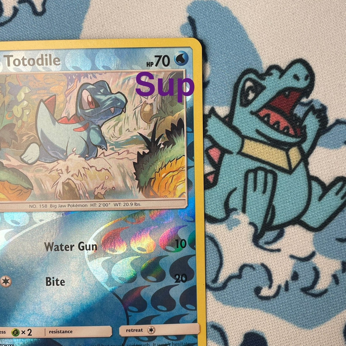 Totodile 18/73 Reverse Holo Sun & Moon Shining Legends