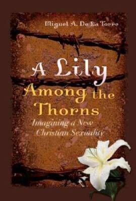 A Lily Among the Thorns: Imagining a New Christian Sexuality - Hardcover - GOOD