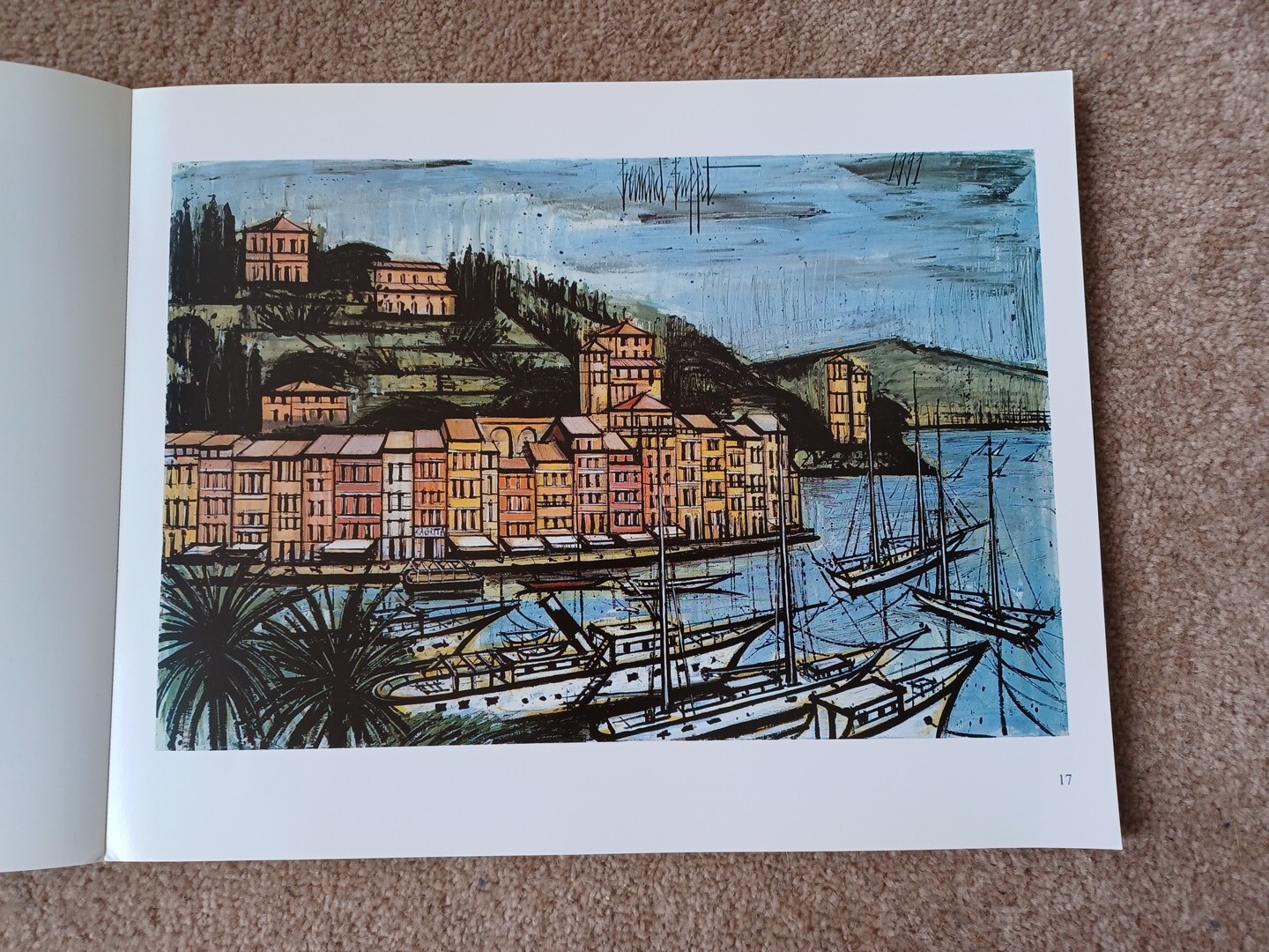 Picture 6 of 17