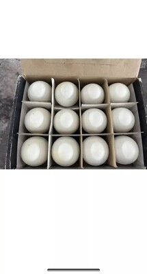 Brine Lacrosse Balls New White 