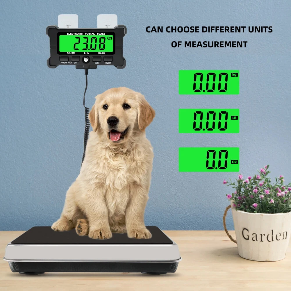 200kg/0.05kg Electronic Scale Digital Stainless Steel Bench Scales Backlit New