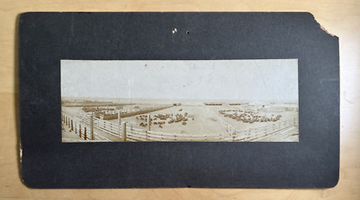 Midwest Hog Stock Yards Pork Processing Facility From Wild Boar to Bacon Photo