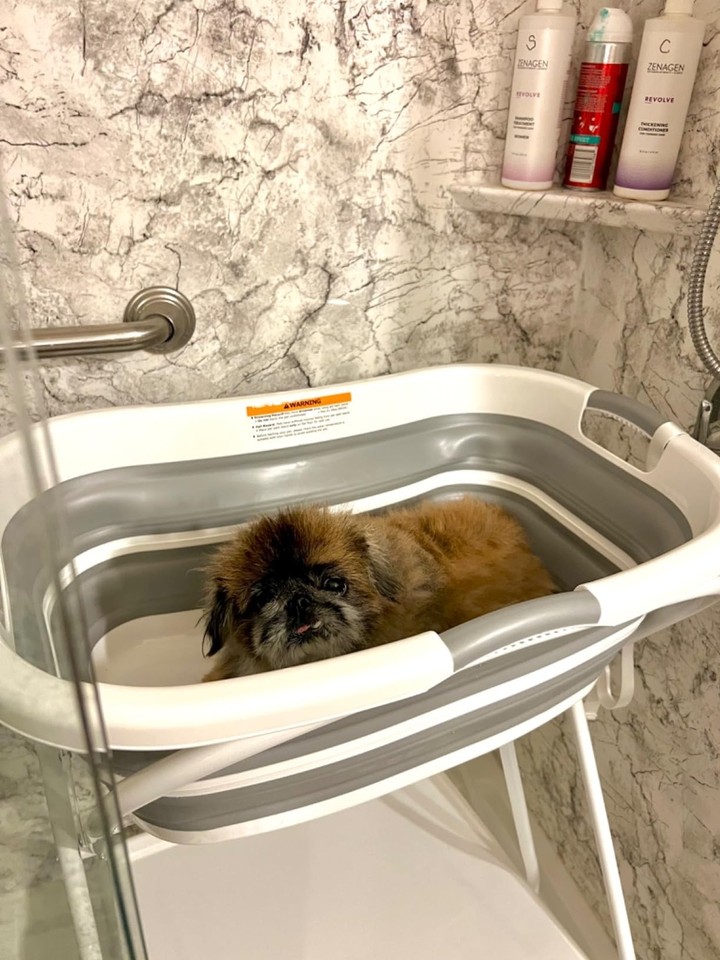 2 in 1 Dog Bath Tub Dog Washing Station for Bathing and Grooming