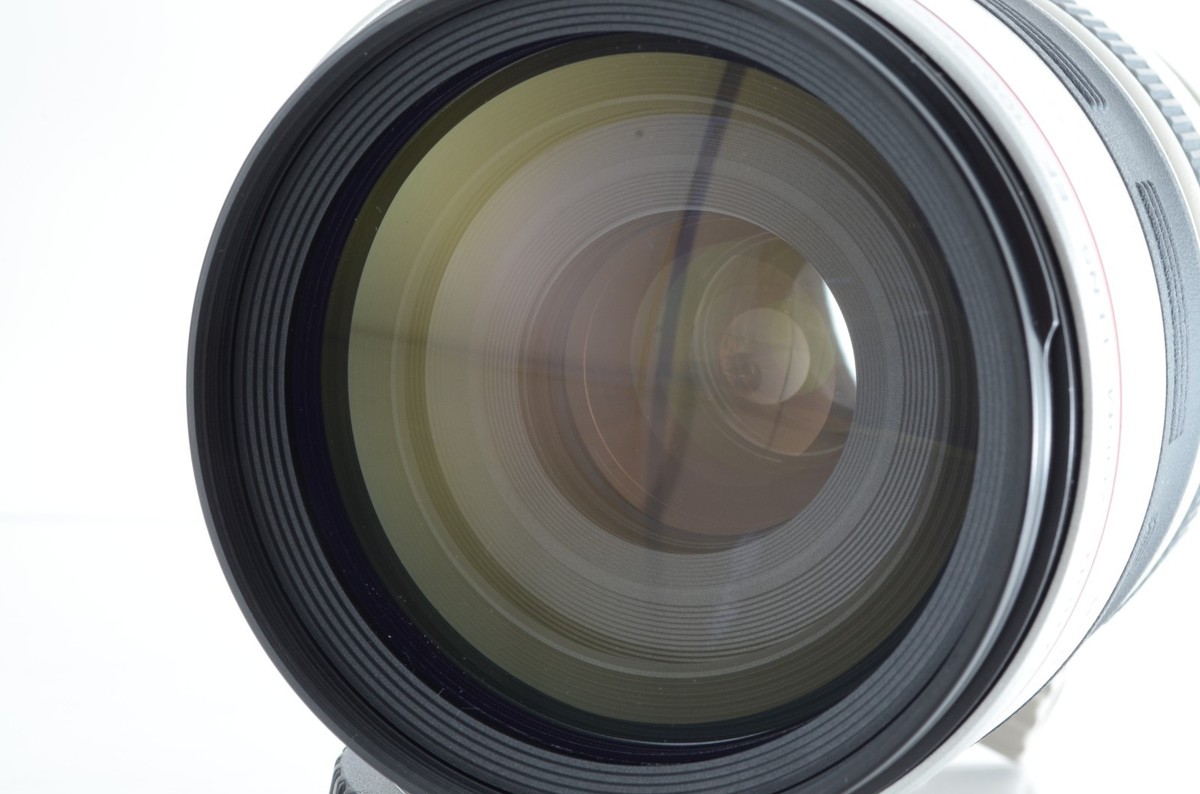 Cannon EF 100-400mm f/4.5-5.6L IS USM Telephoto Zoom Lens