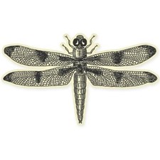 Dragonfly Car Vinyl Sticker - SELECT SIZE