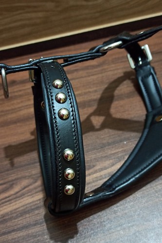 LEATHER PUPPY SMALL DOG HARNESS FULLY PADDED , STAINLESS STEEL FITTINGS - Picture 32 of 38