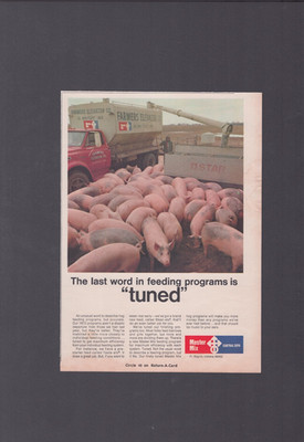 1972 Print Ad Master Mix Ft Wayne Indiana Last Word in Feeding Programs Tuned