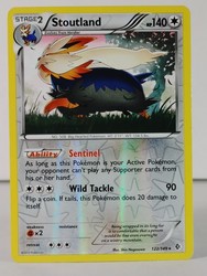 Stoutland 122/149 Boundaries Crossed Reverse Holo Rare