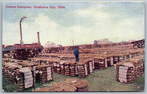 Oklahoma City Oklahoma c1910 Postcard Cotton Compress Factory Bales - 第 1/2 張圖片