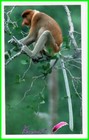 Bild 152 von 187