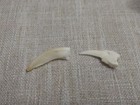 Foto 3 di 8