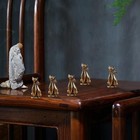 Foto 16 di 20