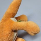 Picture 9 of 9