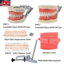 Dental Fit Kilgore NISSIN 200/500 Type Typodont Model Screw-in Removable Teeth