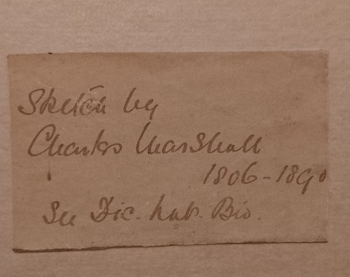 Antigua pintura en acuarela ganado por el río CHARLES MARSHALL (1806-1890) firmada - Imagen 10 de 16
