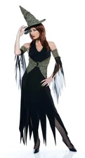 Wicked Of Oz The Wicked Witch Costume Adult