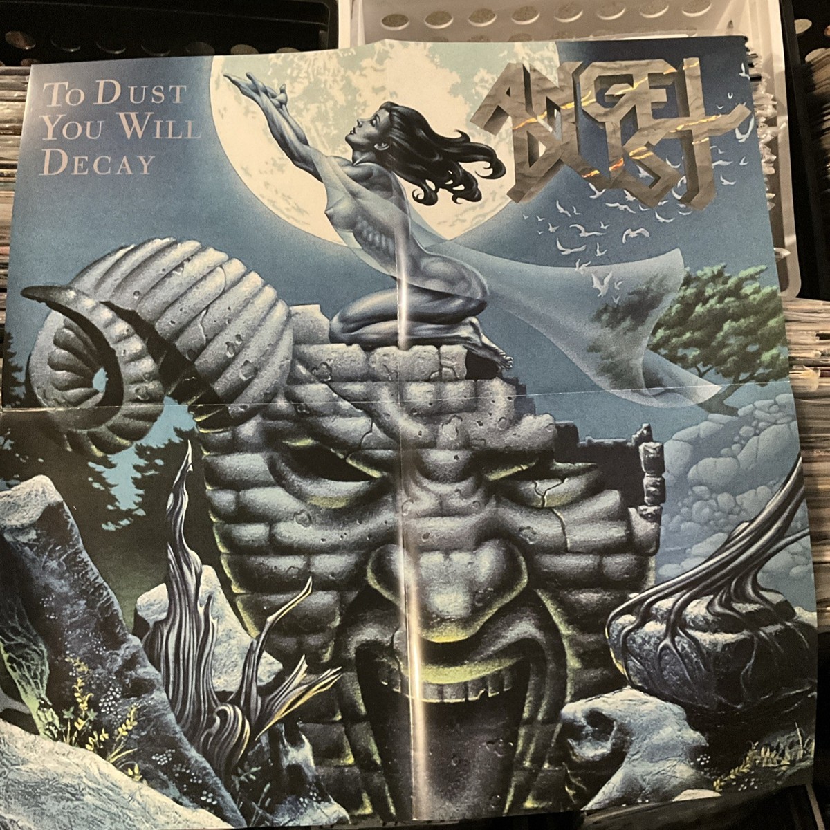 初期廃盤 Adept / The Rose Will Decay CD Angel Dust - To Dust You Will Decay LP 2022 High Roller – HRR 752
