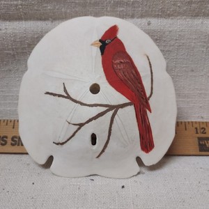 Sand Dollar art/Hand-painted/Northern Cardinal/Aprox 5 inch/1980's