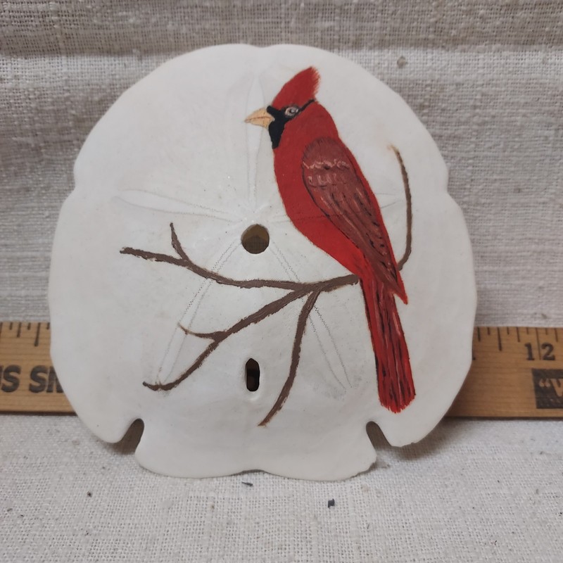 Sand Dollar art/Hand-painted/Northern Cardinal/Aprox 5 inch/1980's
