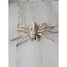 Skeleton spider tarantula life-size scary Halloween prop decor