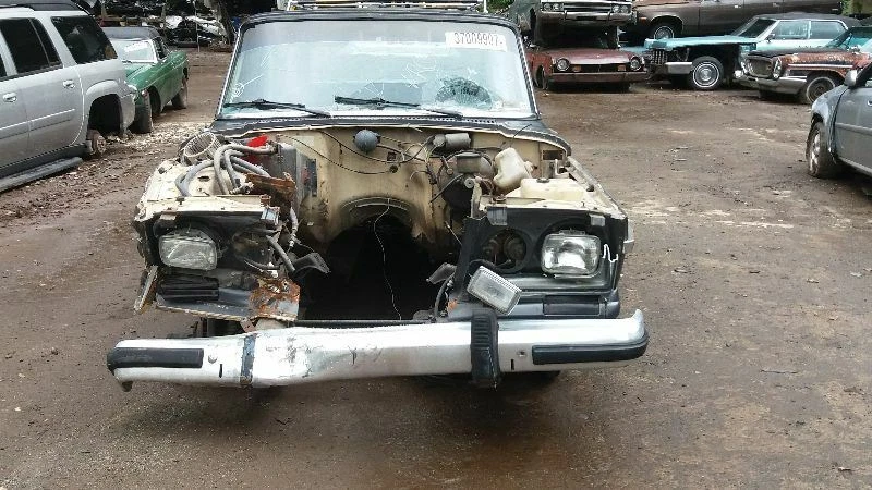 PASS Front Door Glass Fits 1962-88 JEEP J-SERIES TRUCK 63 64 65 66 67 68 69 - Image 3 of 4