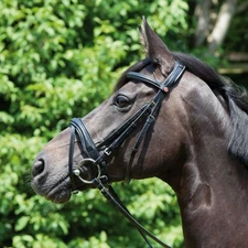 Kieffer Perseus Snaffle Bridle - Crank Noseband - Black - Full