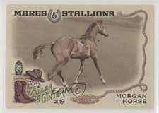 2019 Topps Allen & Ginter Mares and Stallions Morgan Horse #MS-5 y0q