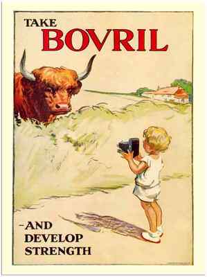 Blechschild 121220 02 Bovril Kind Stier Kamera A5 8x6 Aluminium