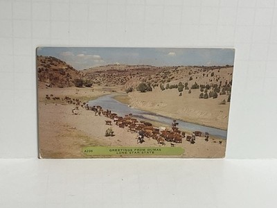 Greetings from Dumas Texas TX Lone Star State Cowboy Postcard c1953 B23