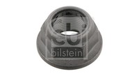Mutter, Achszapfen Hinterachse FÜR Renault, Dacia, Nissan - Febi Bilstein 19893