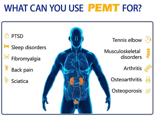 Protable Physiotherapy PEMT PEMF PMST Physio Magnetic Therapy Massage Machine - Picture 12 of 29