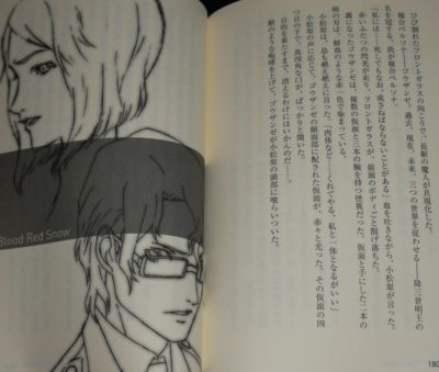 Persona: Trinity Soul Novel - Vol. 1-2 Complete Set - JAPAN | eBay