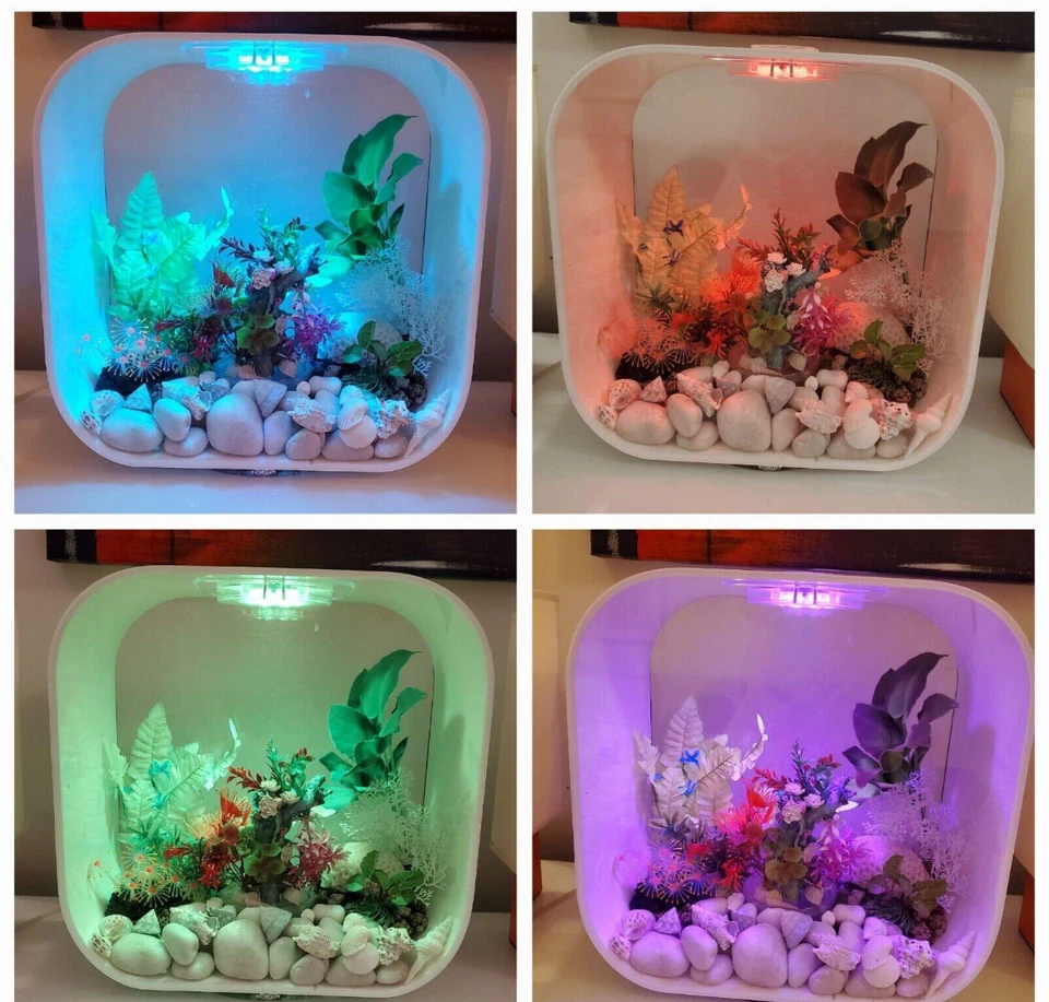 ACUARIO 8 galones por BIORB - ¡¡Incluye TODO lo que se muestra en las fotos!!! Foto 2 de 4