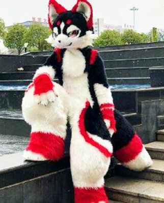 Costume Da Mascotte Husky (o Volpe) - Pelliccia Sintetica - Su Misura - Foto 3