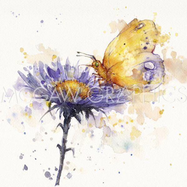 Flower and Butterfly, Sillier than Sally, Wall Art Print Poster 14" x 11" 2787