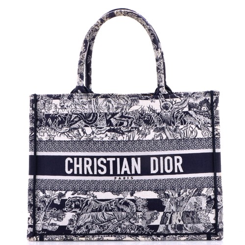 Christian Dior Book Tote Embroidered Canvas Medium