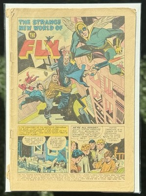 ADVENTURES OF THE FLY #1 1959 NO CVR Comic Book Archie Publications Simon Kirby
