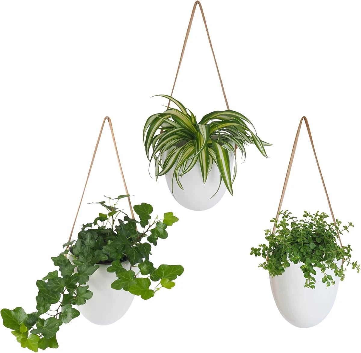 VASO DA FIORI rotondo in plastica per piante con fioriera da pavimento con EUR 22,67 - IT