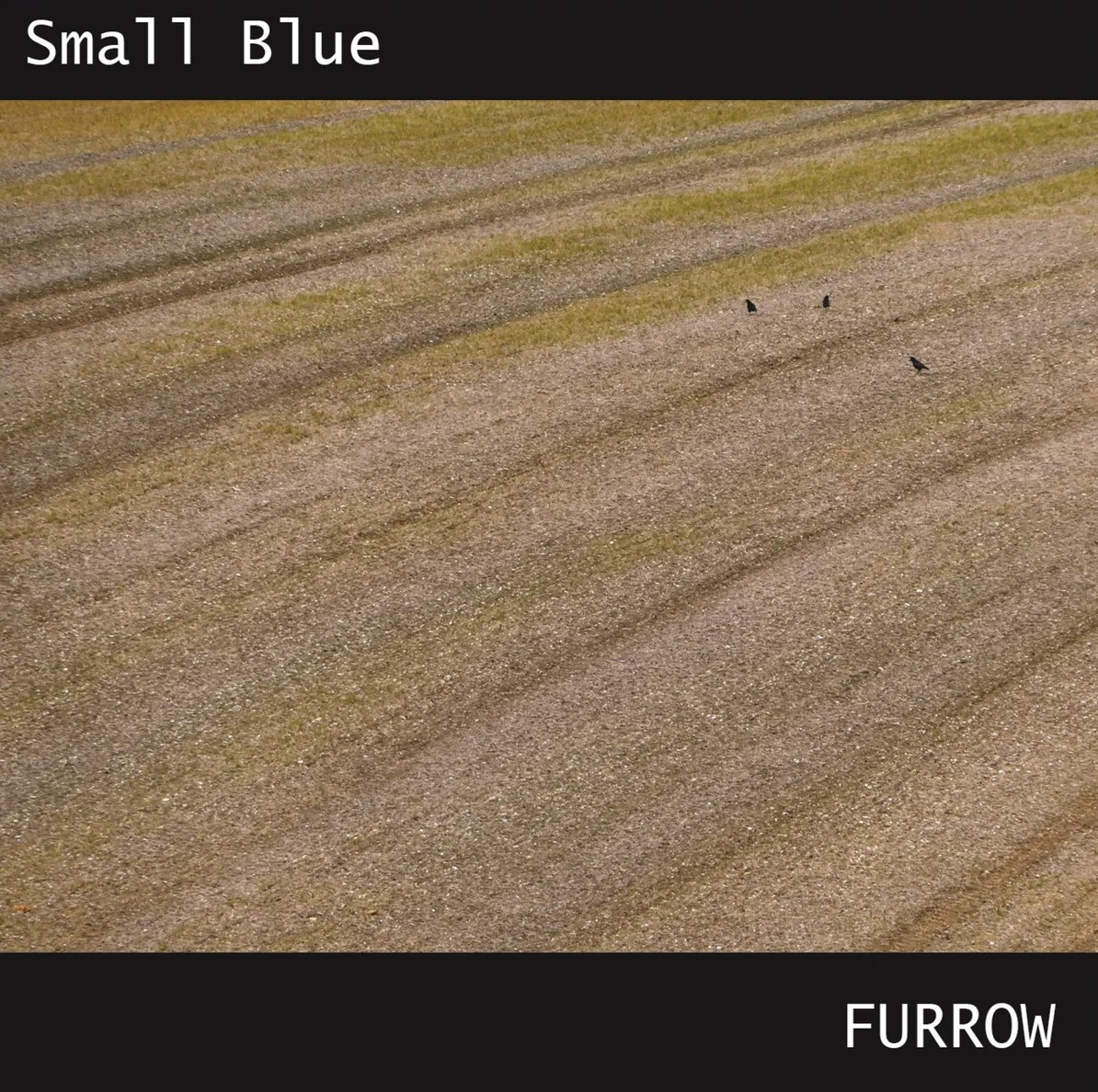 Small Blue Furrow (CD) Album
