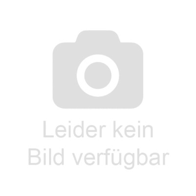 FISKARS 1057549 Wetzstahl FF Functional Form