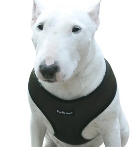 love harness for dogs