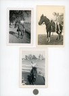 LOT of 7 Vintage photos / HORSES - Ponies - KIDS PONY RIDES - Miniature Shetland — photo 1