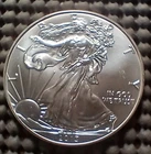 2013 American Silver Eagle 1 oz .999 Fine Silver