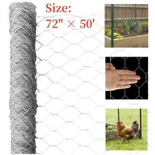 72" × 50' 2" Holes Galvanized Poultry Net - Metal Fencing / Chicken Wire