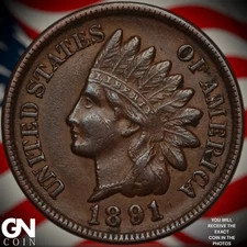 1891 Indian Head Cent Penny A0470
