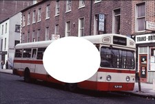 London Transport Bus Photograph MB 451 VLW 451G Ulsterbus Northern Ireland 16059