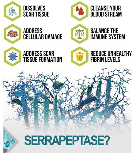 Serrapeptase Supports Bones Inflammation Joint Health Scars Arteries Sinus Aid - Picture 7 of 17