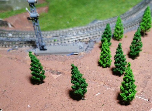 50 Dark Green and Medium Green Firs, Conifers, 48mm Tall - Picture 3 of 12