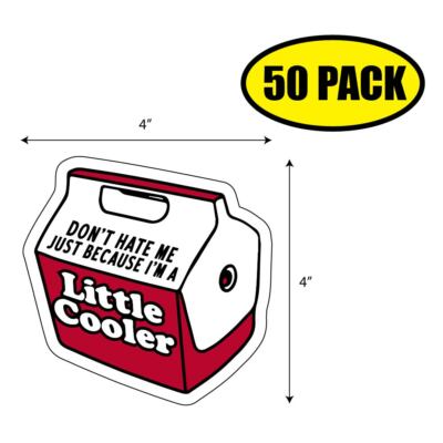 50pc -4'' x 4'' DON'T HATE ME BECAUSE I'M COOLER Sticker Decal Humor Funny VG0017